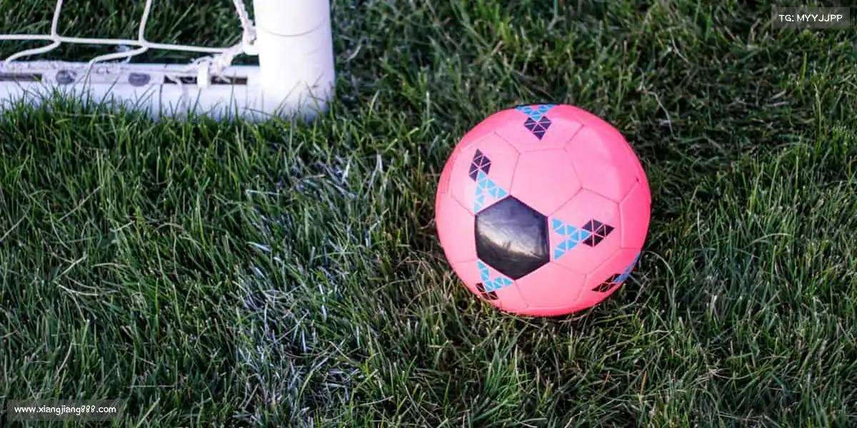 milan米兰🎿从陆地到冰雪,从平凡到闪耀 —— 体育的魅力,在于不断突破边界!